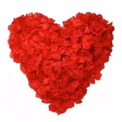 Petale de trandafir artificiale pentru diverse evenimente, Gonga®
